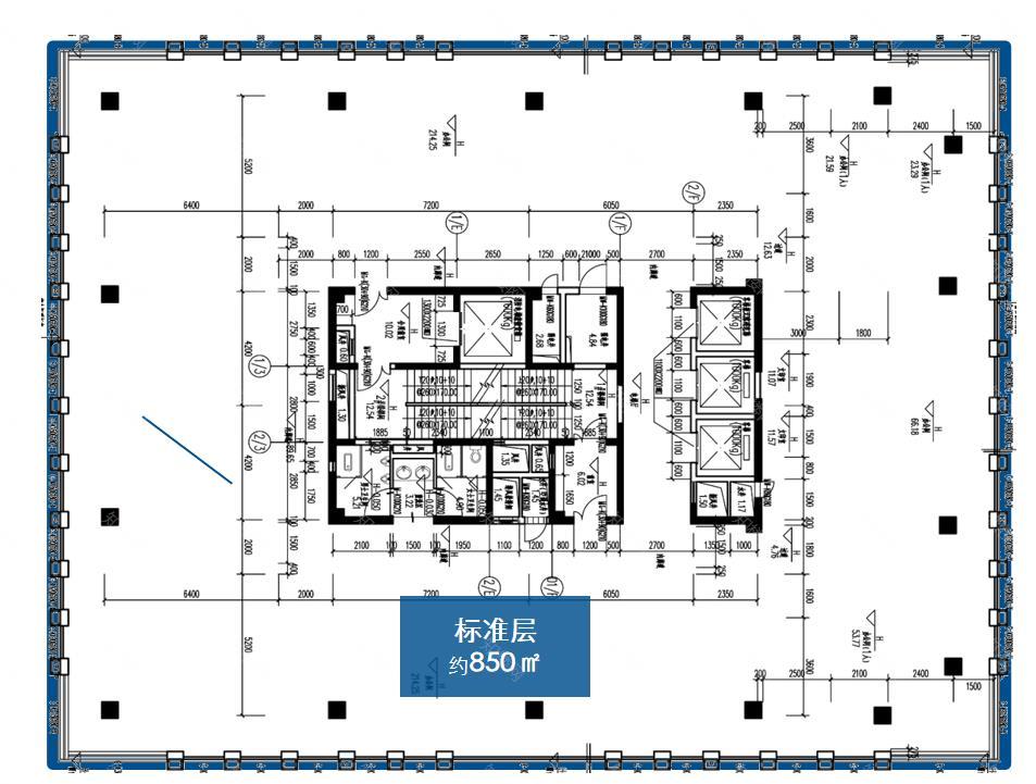 实拍图