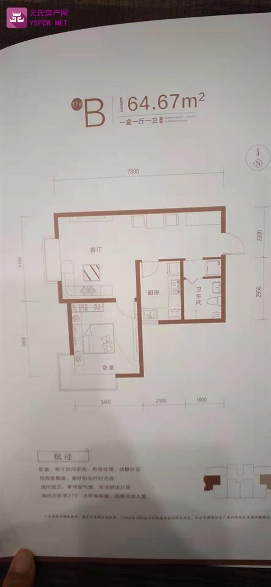 盛紫中央公园--建面 64.00㎡;