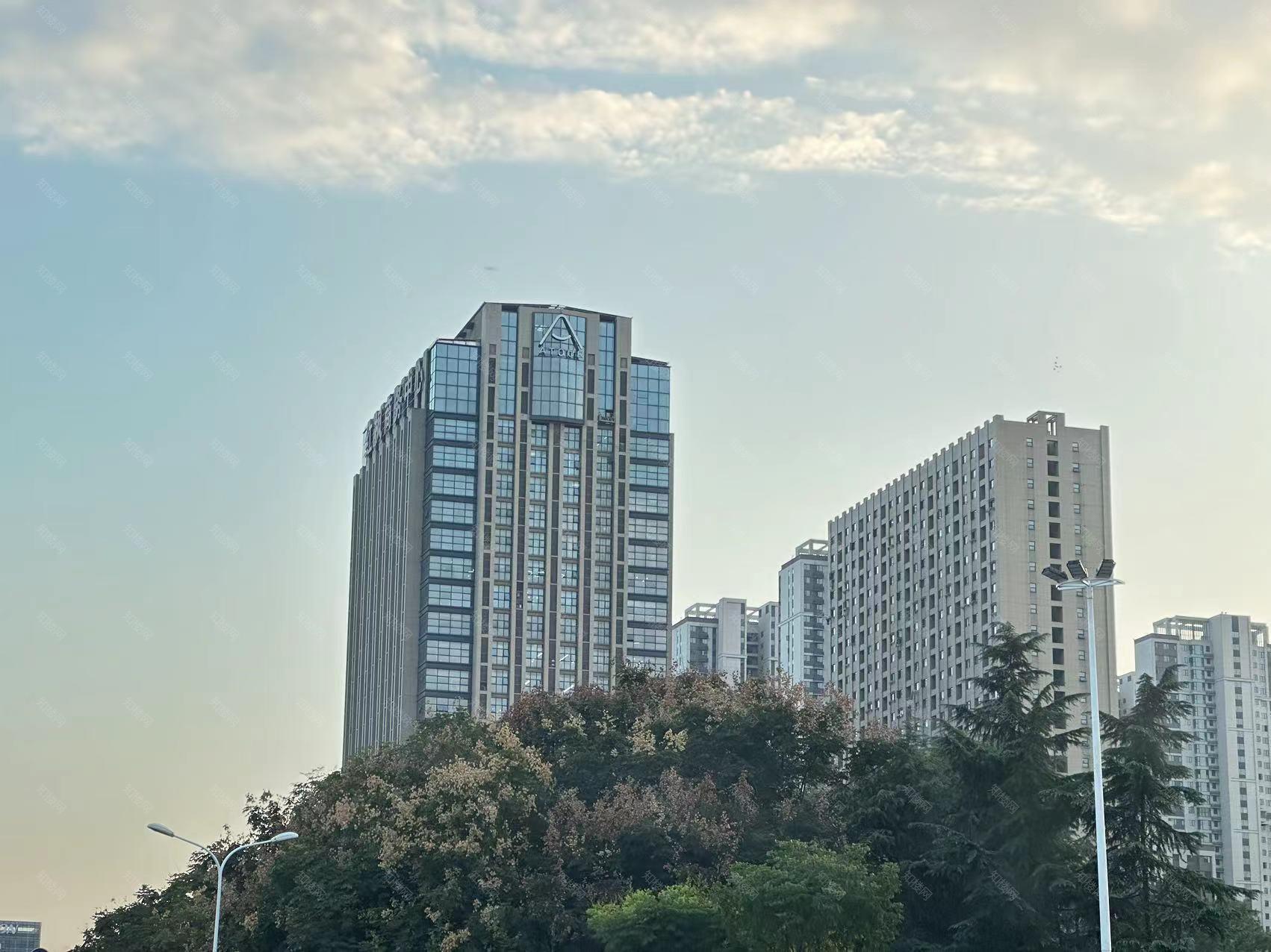 实景图